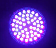 41 LED UV flashlight